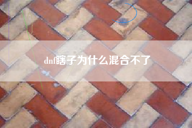 dnf瞎子为什么混合不了