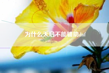 为什么天启不能辅助dnf