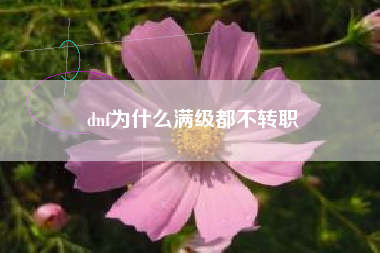 dnf为什么满级都不转职