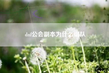 dnf公会副本为什么组队