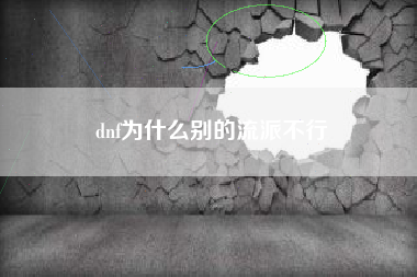 dnf为什么别的流派不行