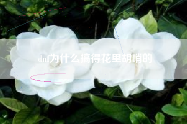 dnf为什么搞得花里胡哨的