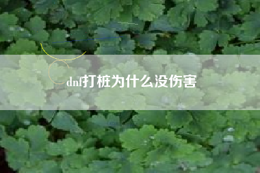 dnf打桩为什么没伤害