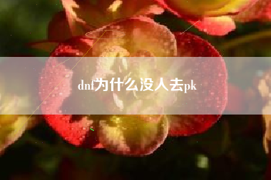 dnf为什么没人去pk