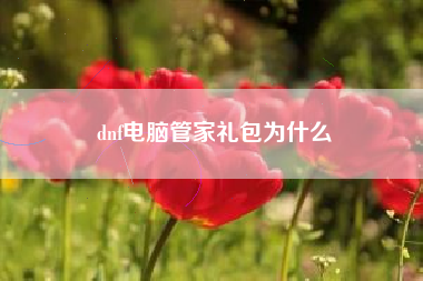 dnf电脑管家礼包为什么