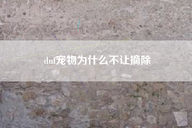 dnf宠物为什么不让摘除