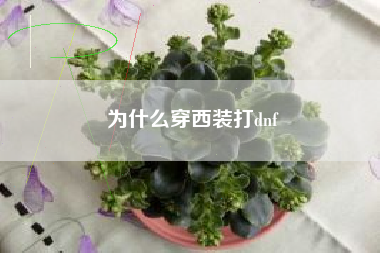 为什么穿西装打dnf