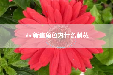 dnf新建角色为什么制裁