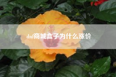 dnf商城盒子为什么涨价