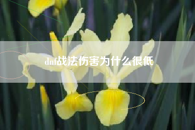 dnf战法伤害为什么很低