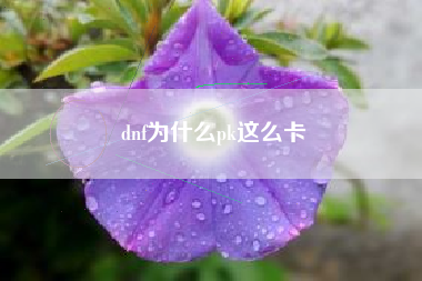 dnf为什么pk这么卡