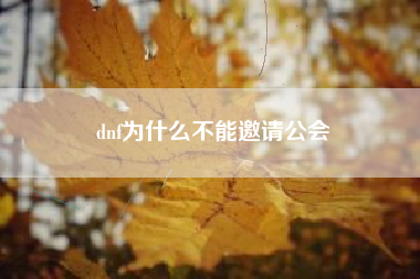 dnf为什么不能邀请公会