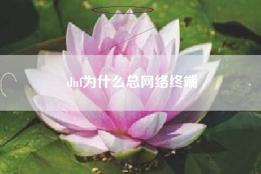 dnf为什么总网络终端