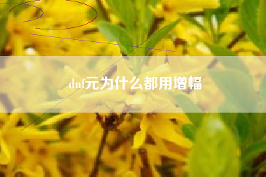 dnf元为什么都用增幅