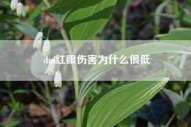 dnf红眼伤害为什么很低