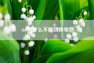 dnf为什么不能切换宠物