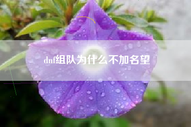 dnf组队为什么不加名望