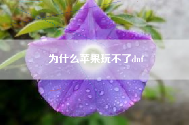 为什么苹果玩不了dnf