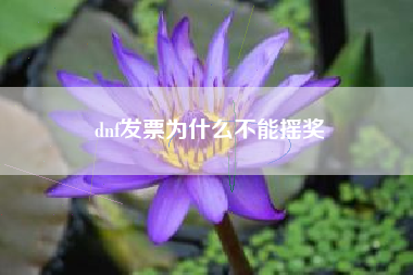 dnf发票为什么不能摇奖