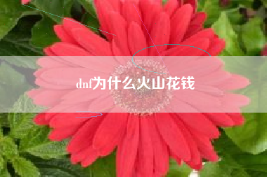 dnf为什么火山花钱