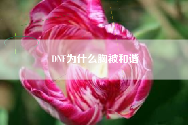 DNF为什么胸被和谐