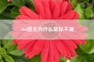 dnf进去为什么鼠标不准