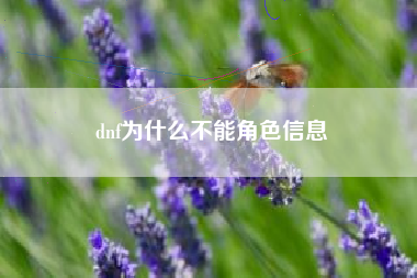 dnf为什么不能角色信息