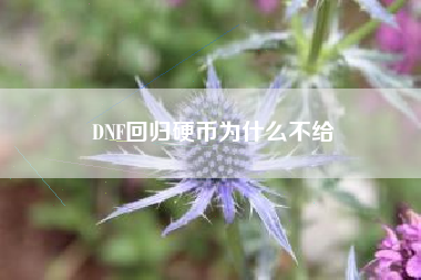 DNF回归硬币为什么不给