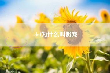 dnf为什么叫奶宠