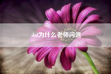 dnf为什么老师闪退