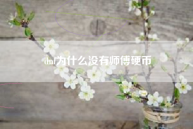 dnf为什么没有师傅硬币