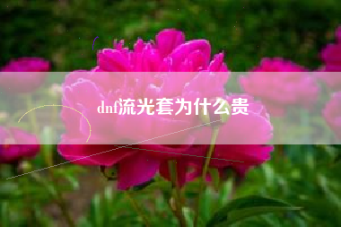 dnf流光套为什么贵