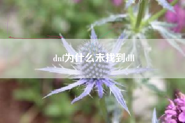 dnf为什么未找到dll