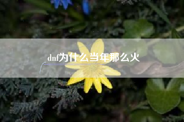 dnf为什么当年那么火