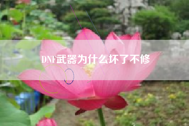 DNF武器为什么坏了不修