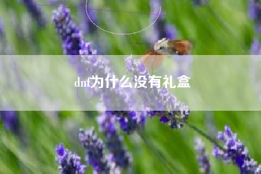 dnf为什么没有礼盒