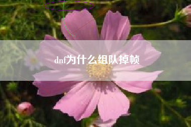 dnf为什么组队掉帧