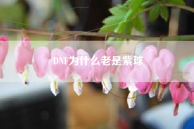 DNF为什么老是紫球