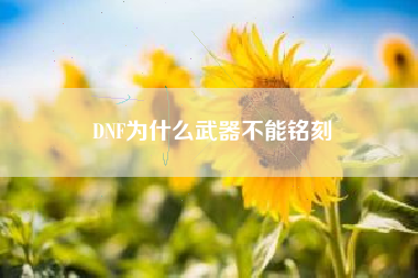 DNF为什么武器不能铭刻