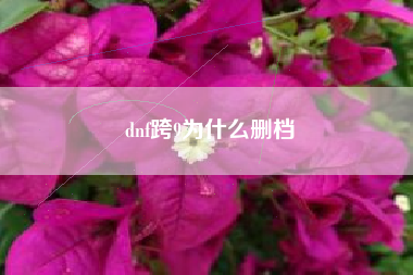 dnf跨9为什么删档