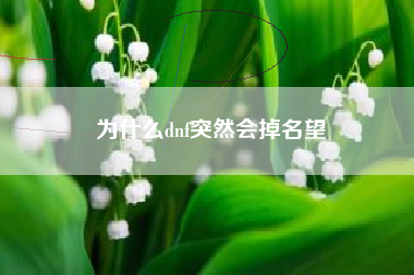 为什么dnf突然会掉名望