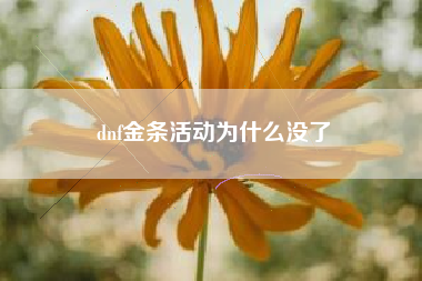 dnf金条活动为什么没了