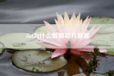 dnf为什么数据芯片暴涨