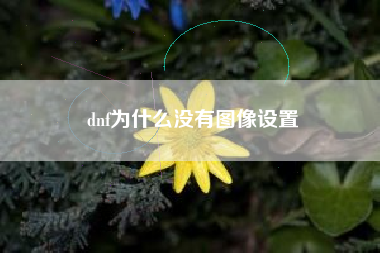 dnf为什么没有图像设置