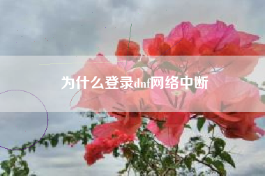 为什么登录dnf网络中断