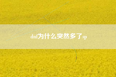 dnf为什么突然多了sp