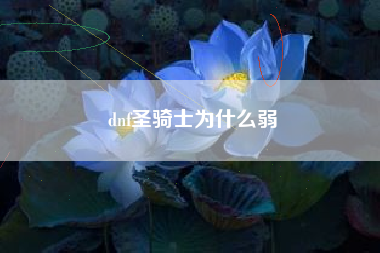 dnf圣骑士为什么弱