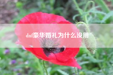 dnf豪华婚礼为什么没用