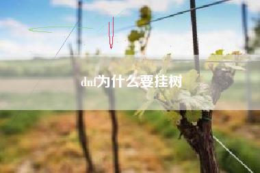 dnf为什么要挂树