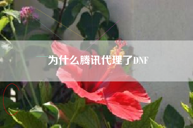 为什么腾讯代理了DNF